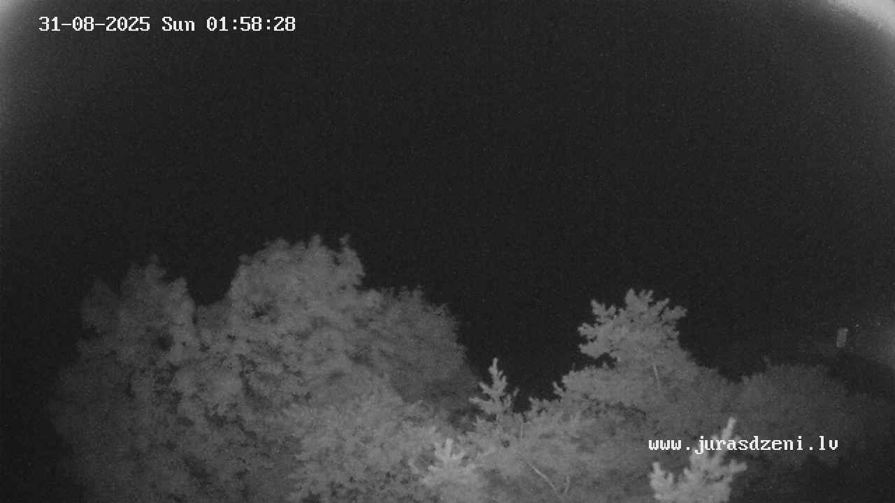 Camera Snapshot